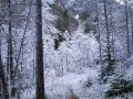 Bosco delle Seate d'inverno