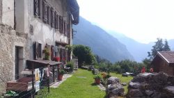 Patocco, Val Raccolana, sul Cjuc.  Esatate 2018